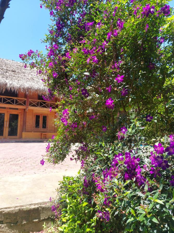 Flower Hmong Homestay Bac Ha  Exteriér fotografie