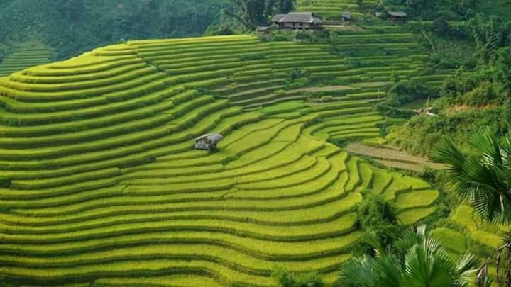 Flower Hmong Homestay Bac Ha  Exteriér fotografie